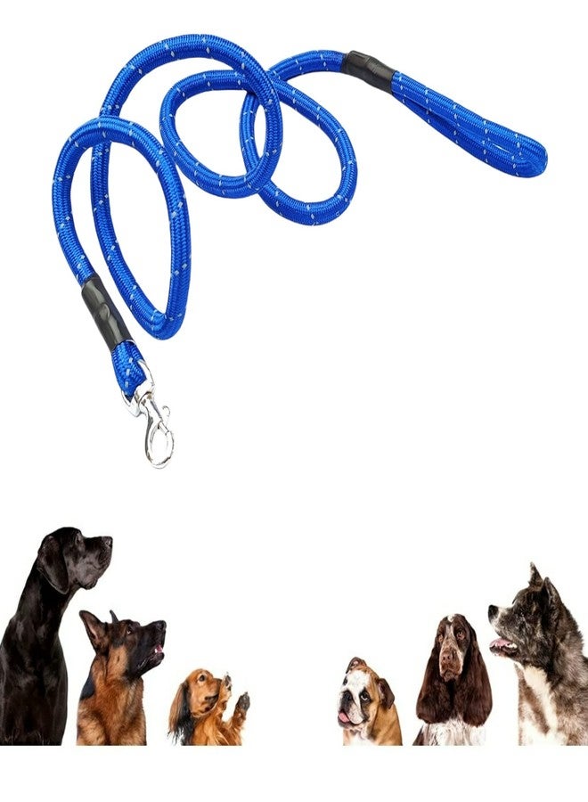 PETLICIOUS & MORE حبل عاكس من النايلون الممتاز من Petlicious & More® مقاس 12 مم للكلاب المتوسطة والصغيرة (اللون - أزرق، الطول - 5 أقدام) - Image 3